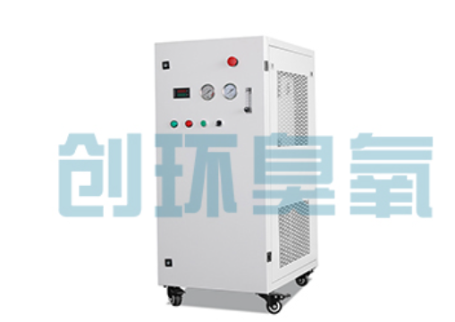怀化石斑鱼养殖水质调控完整指南:臭氧发生器配置与操作步骤