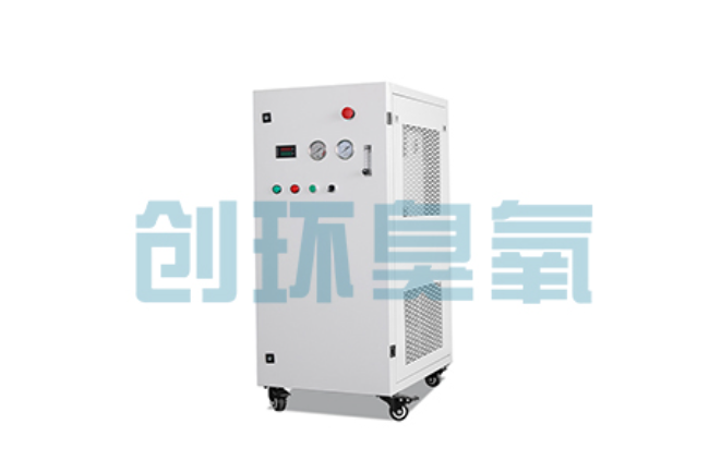 怀化比传统换水更高效?臭氧发生器在石斑鱼养殖中的水质净化原理解析